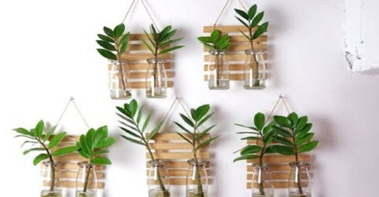 Turn Old Jars Into Mini Gardens with These 18 Indoor Plants
