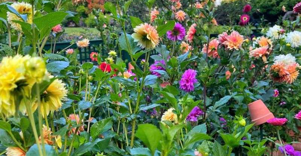 10 Common Mistakes That Could Be Ruining Your Flower Beds (And How to Fix Them)