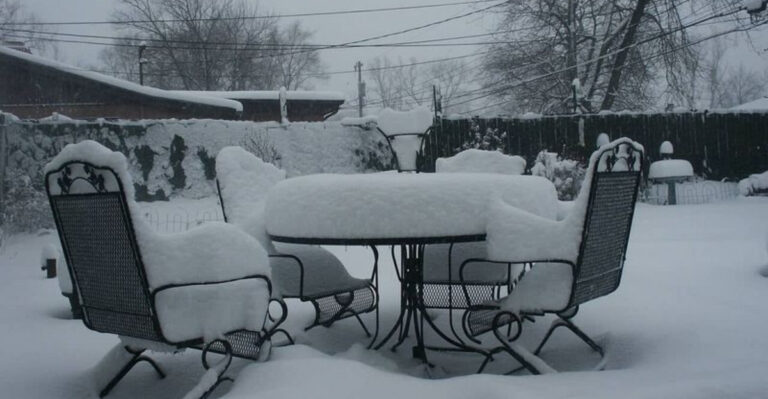 10 Garden Items That Should Never Be Left Outside Over Winter