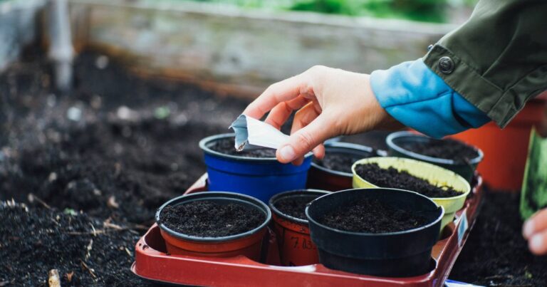 10 Seeds to Plant Now for a Thriving Garden Before Spring