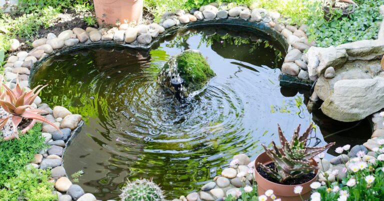 12 Creative Ideas for Stunning Backyard Ponds