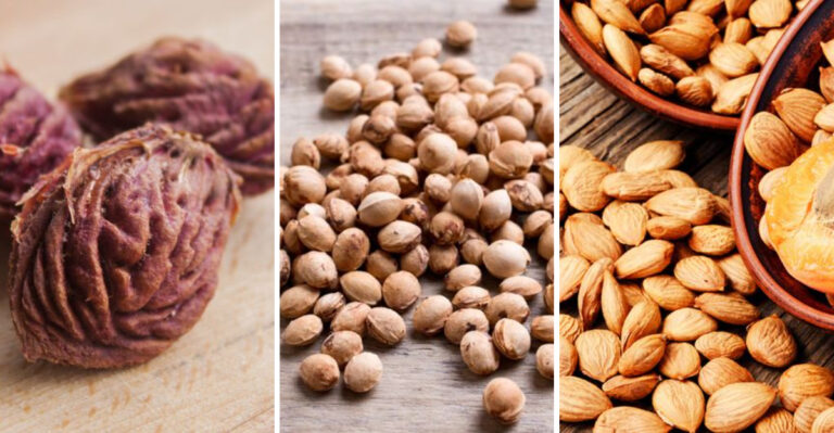 12 Fruit Seeds You Can Save and Grow into Your Own Backyard Orchard