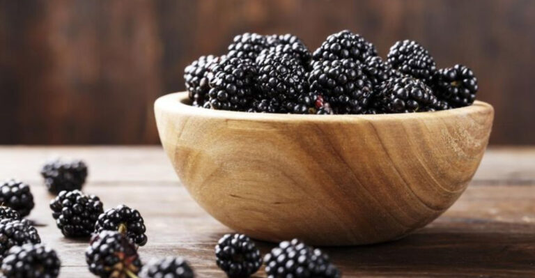 13 Protein Loaded Fruits to Fuel Your Active Lifestyle