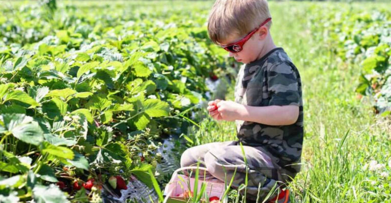 14 Fun, Safe, and Easy-to-Grow Plants for Kids to Enjoy
