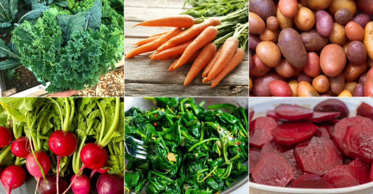 20 Vegetables That Can Grow In Buckets Year Round