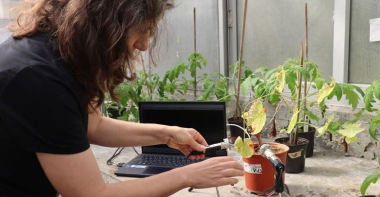 20 Weird Ways Plants Communicate with Each Other