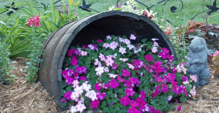 56 Favorite Container Plants and Ideas for Your Potted Oasis