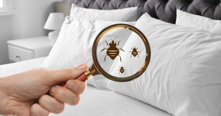 7 Scents Bed Bugs Despise Completely