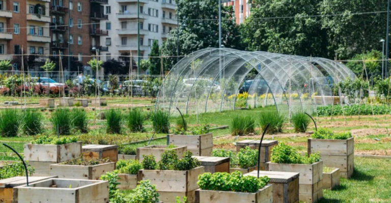 Agrihoods: The Garden Community Revolution That Can Increase Property Value