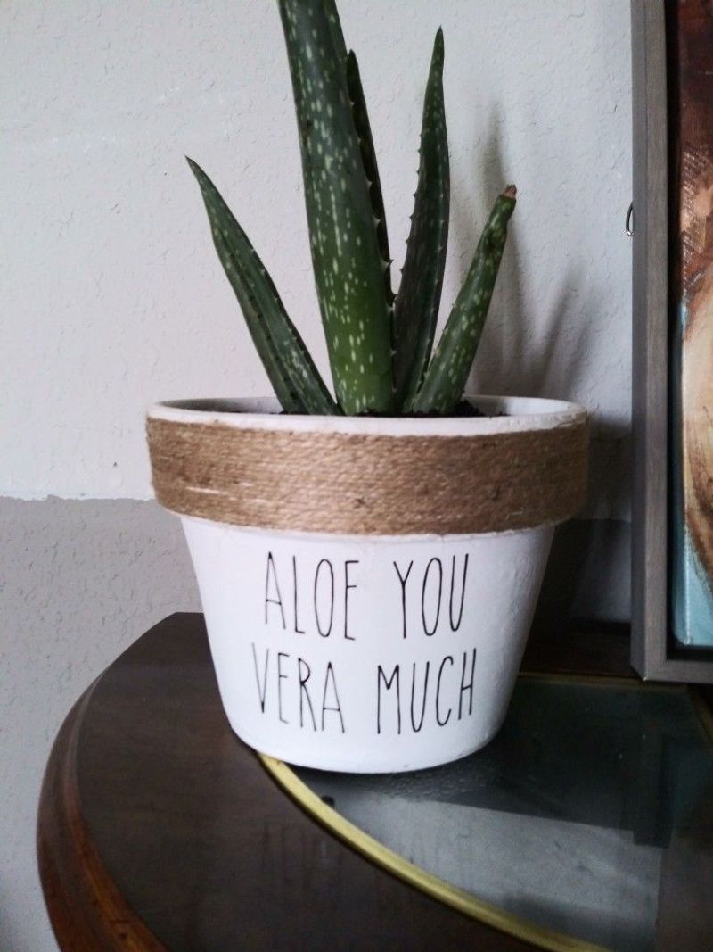 Aloe Vera