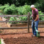 Breaking Tradition: Why Many Gardeners Are Ditching Till Methods