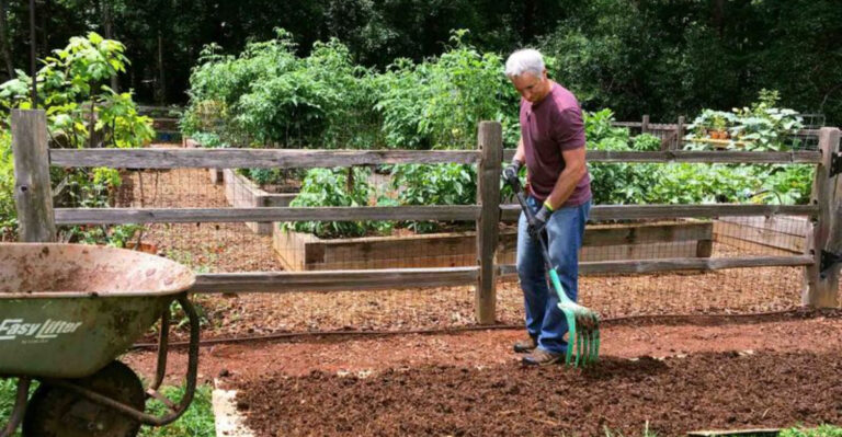 Breaking Tradition: Why Many Gardeners Are Ditching Till Methods