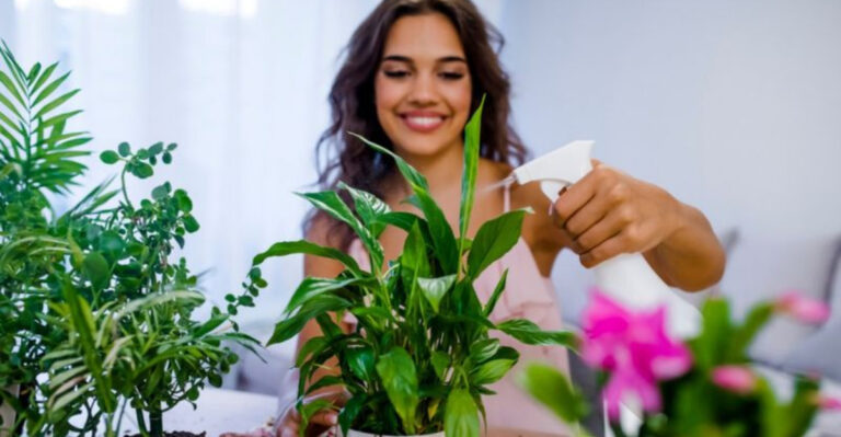 Bring Your Dying Plant Back to Life