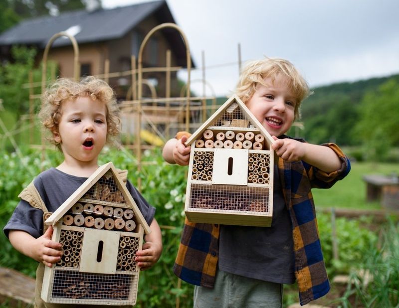 Bug Hotel