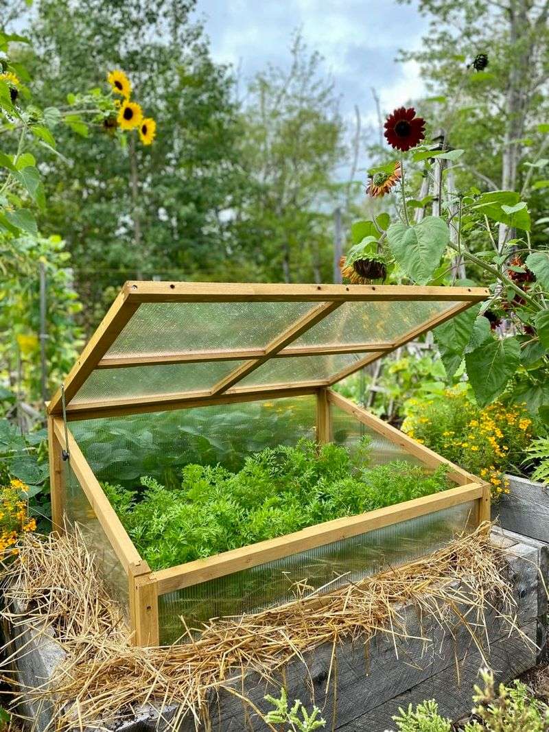 Building Cold Frames