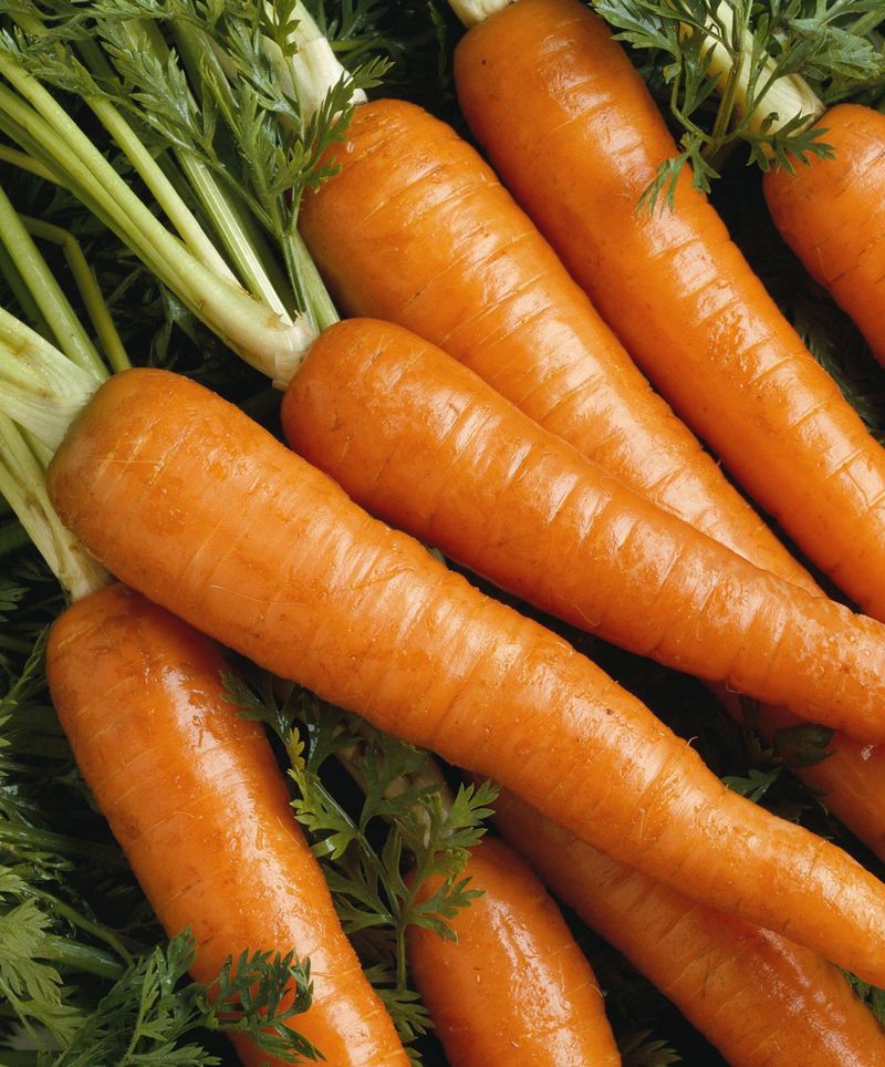 Carrots