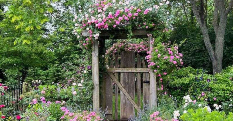 Create a Timeless Garden Retreat with These Stunning Victorian Flowers and Vines