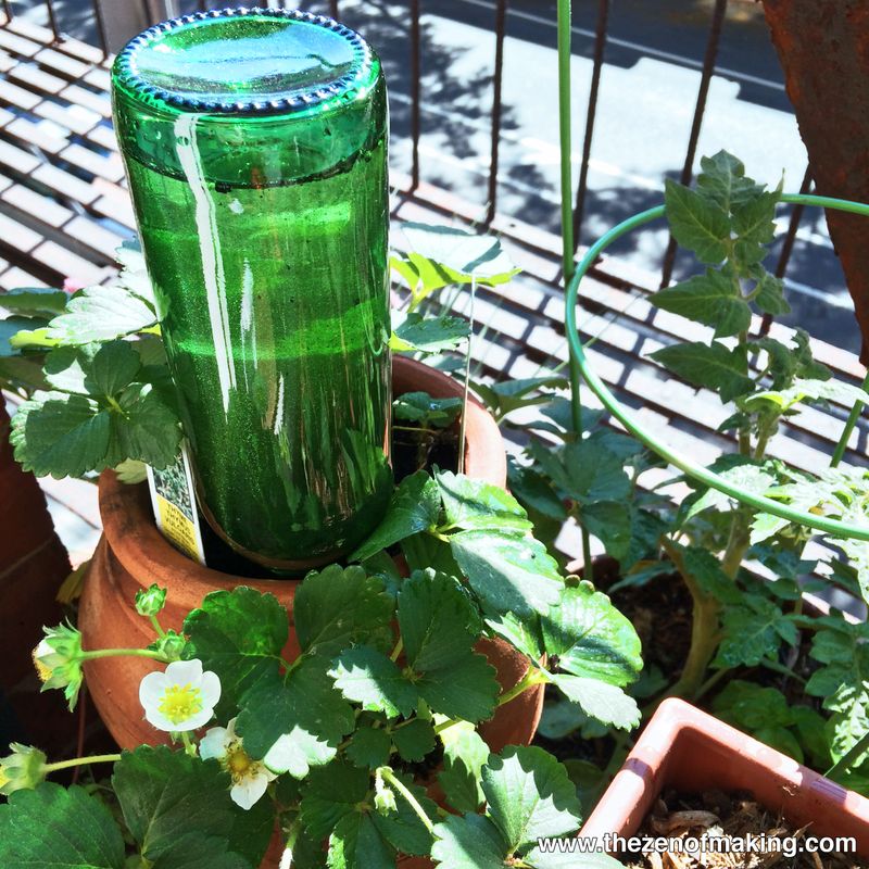 DIY Watering Globes