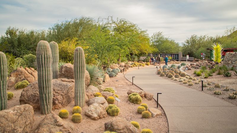 Desert Botanical Garden, Arizona