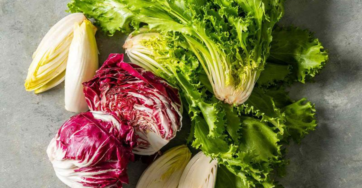 Discover Puntarelle Chicory s Spear Like Specialty Complete Gardening