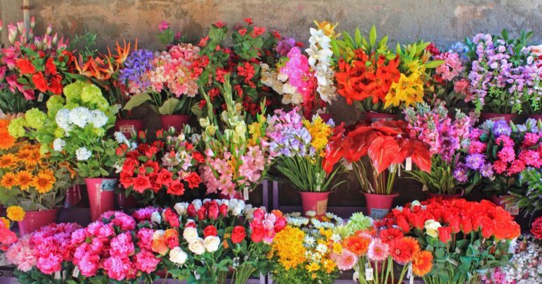 Discover the Hidden Meanings of 24 Stunning Flowers