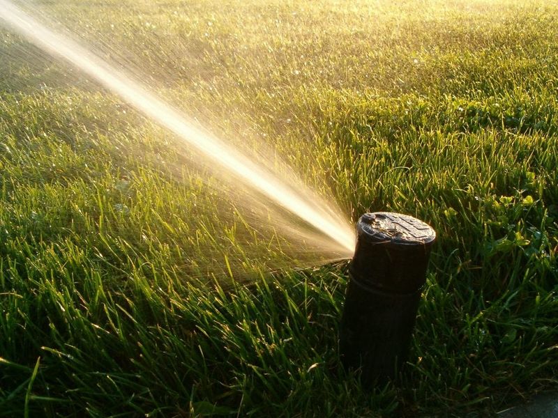 Evening Watering Precautions