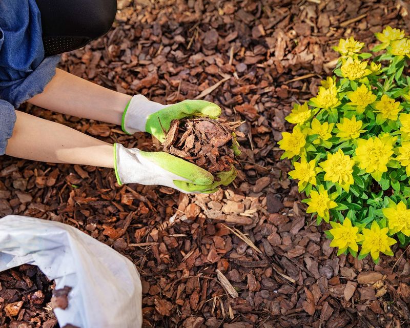 Failing to Mulch