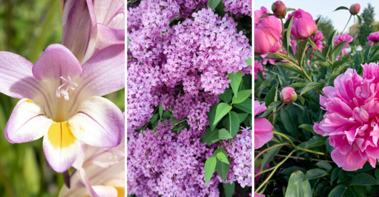 Florists Share the 20 Most Popular Flowers People Can’t Get Enough Of