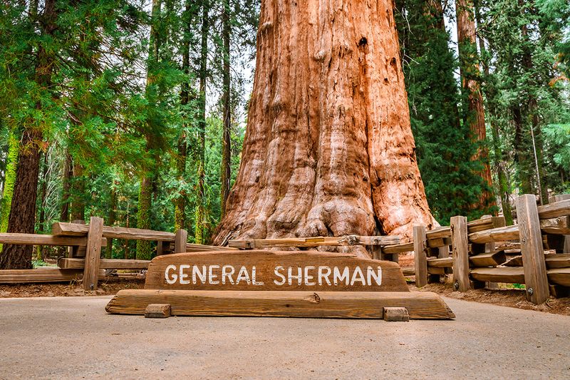 General Sherman