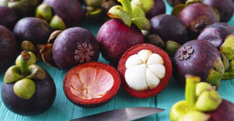 Have You Heard of Mangosteen? The Exotic Fruit with Hidden Secrets