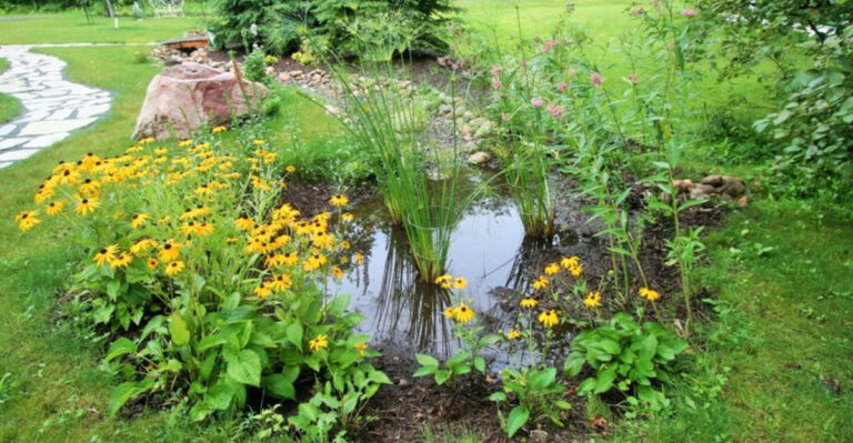 How to Build a Rain Garden That Helps the Environment