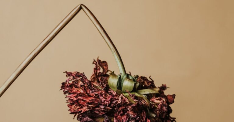 How to Straighten Crooked Flower Stems: 5 Simple Tips