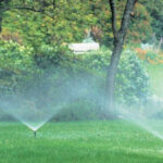 Hydration Tips to Keep Your Lawn and Turf Green and Healthy