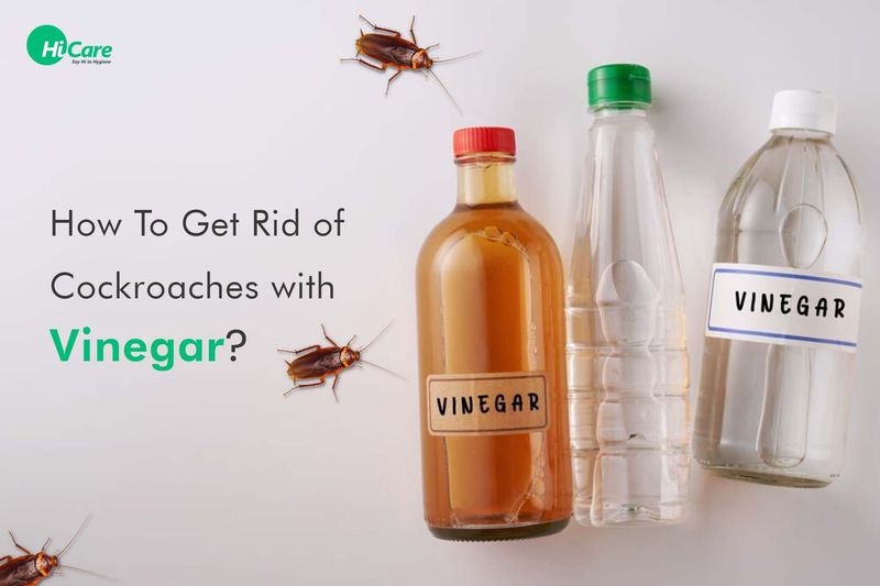 Insect-Repelling Vinegar Solution