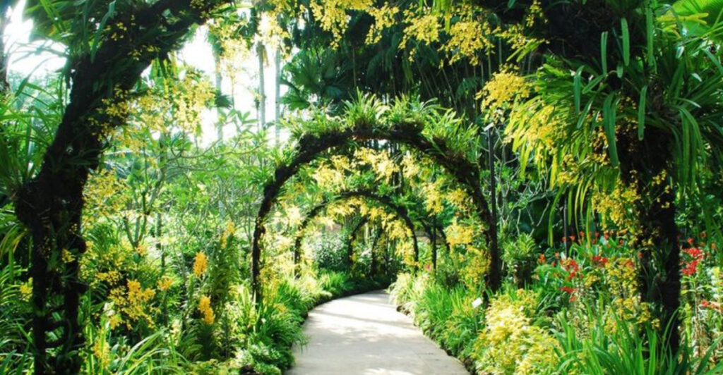 Journey Through Earth’s Incredible Floral Sanctuaries: The Ultimate Botanical Garden Guide