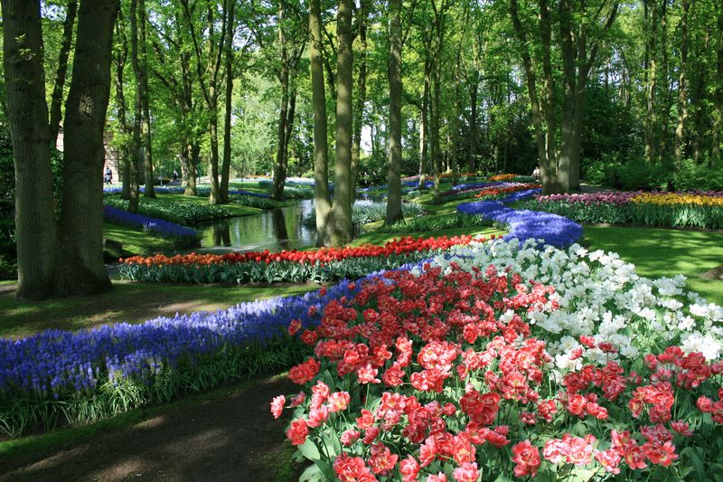 Keukenhof Gardens, Netherlands