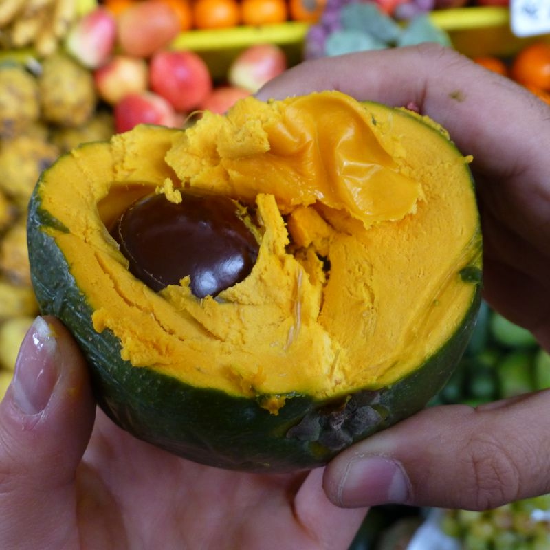 Lucuma