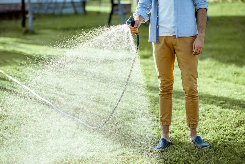 Morning Watering Routine