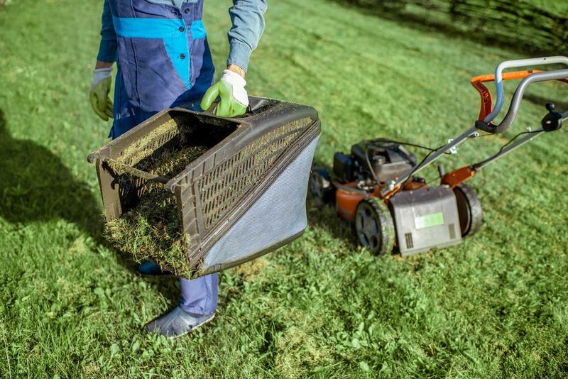 Mulching for Moisture Retention