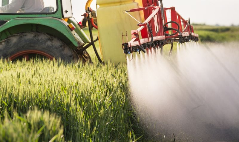 Myth: Organic Pesticides Are Completely Safe