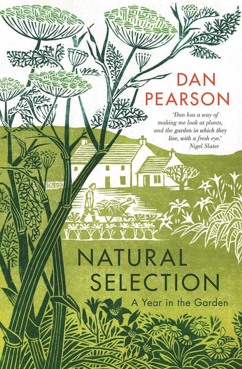 Natural Selection by Dan Pearson