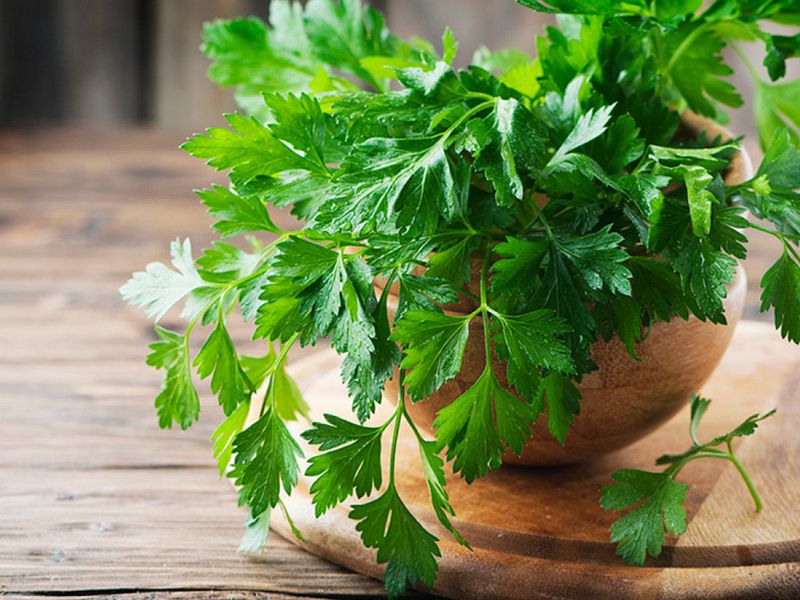 Parsley