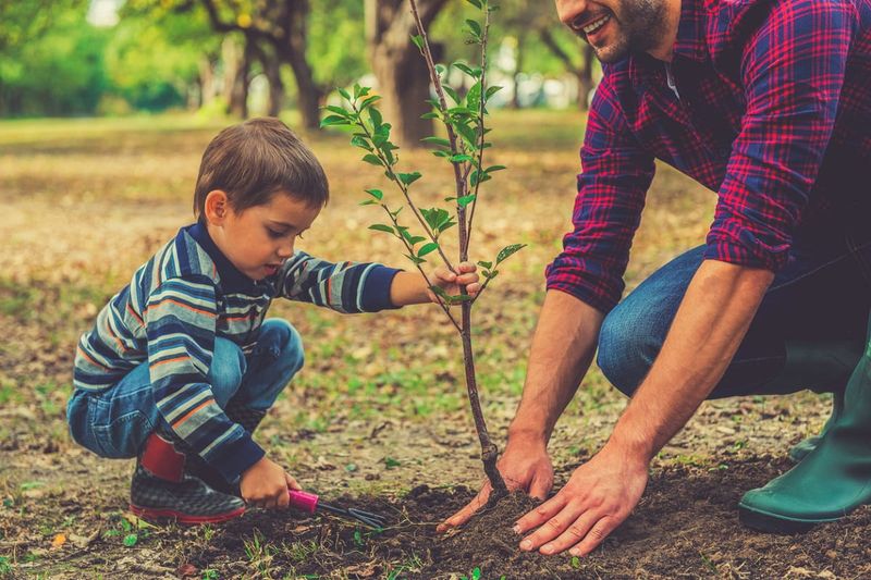 Planting a Tree