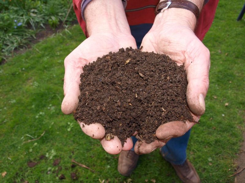 Prepare Quality Soil