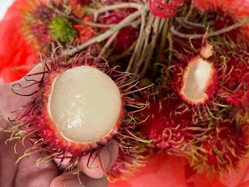 Rambutan