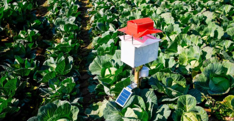 Revolutionizing Your Garden: How AI is Transforming Modern Gardening