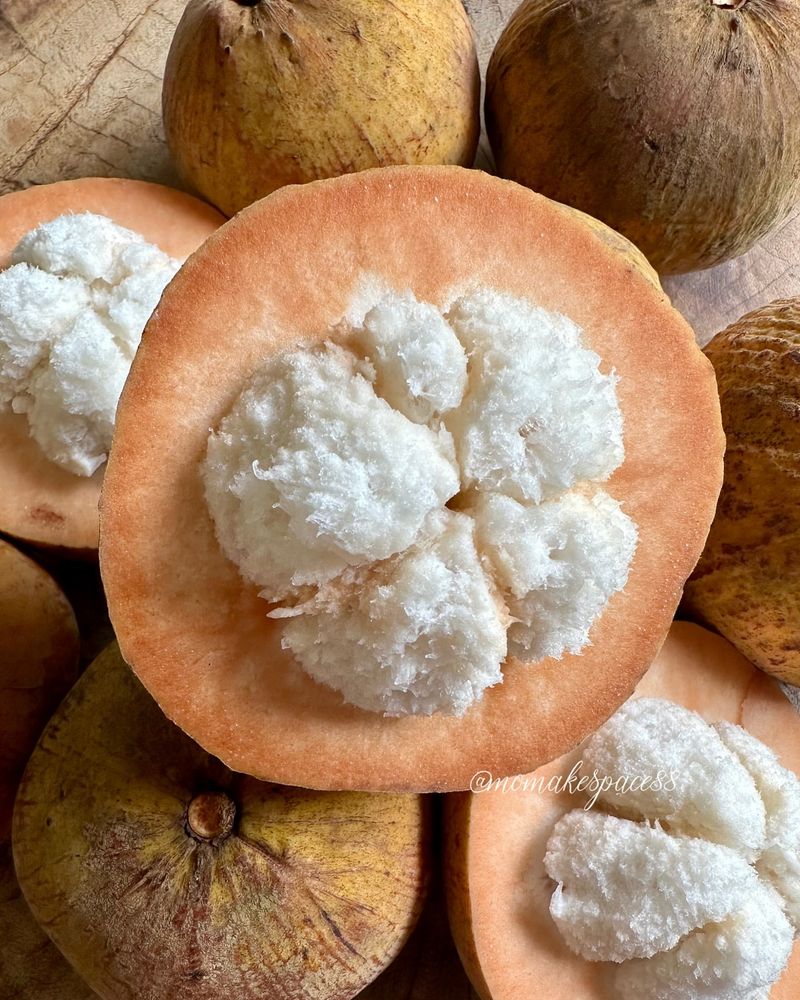 Santol