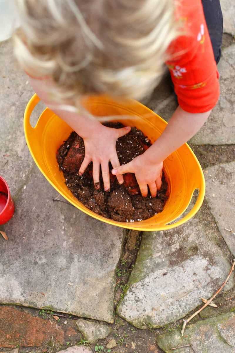 Seed Bombs