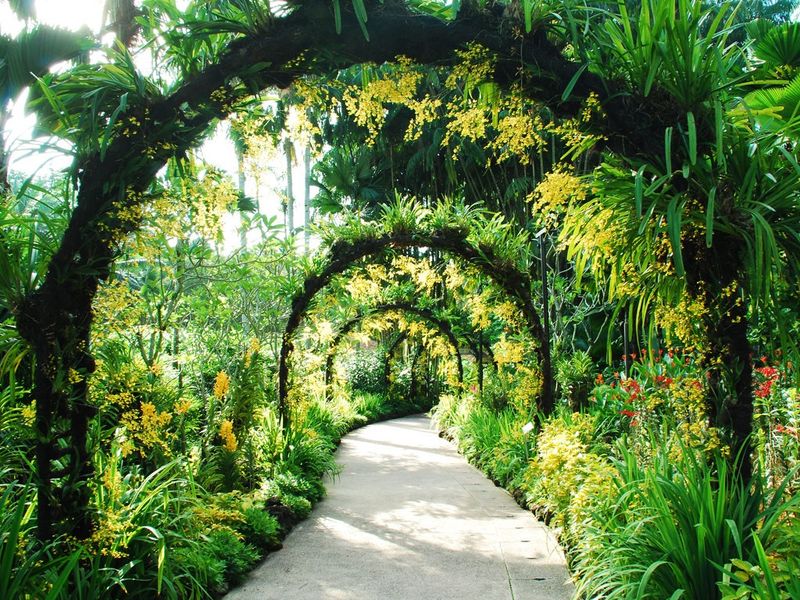 Singapore Botanic Gardens