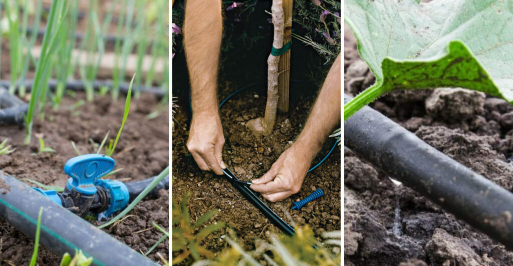 Step-by-Step Guide: Setting Up a Drip Irrigation System for Your Garden